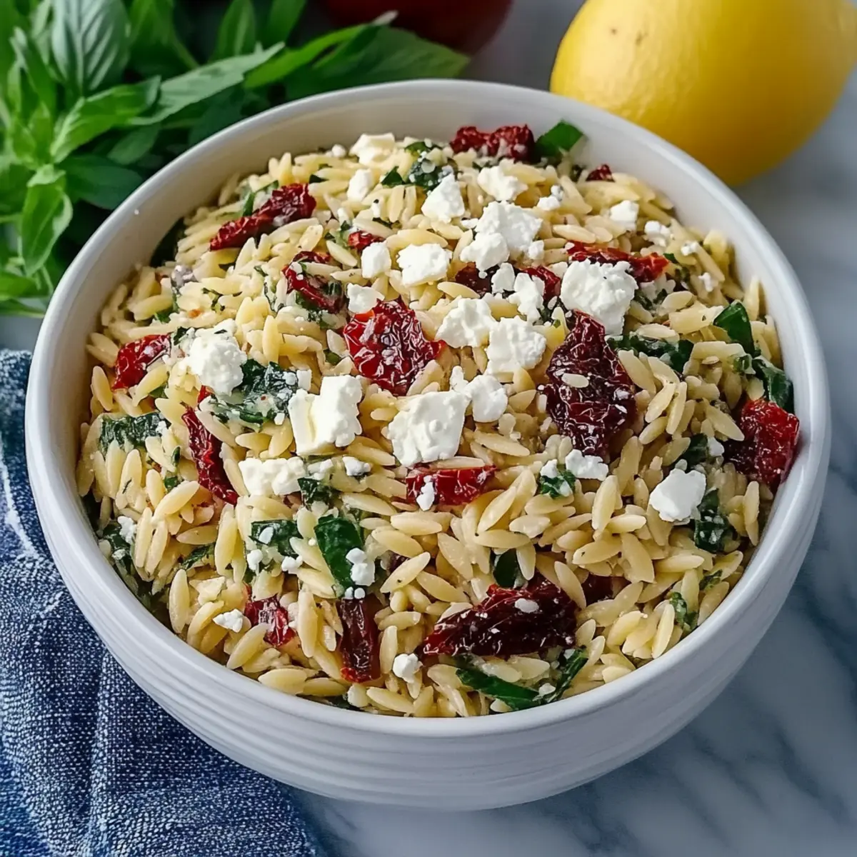 Homemade Orzo Pasta Salad with Feta and Sun Dried Tomatoes